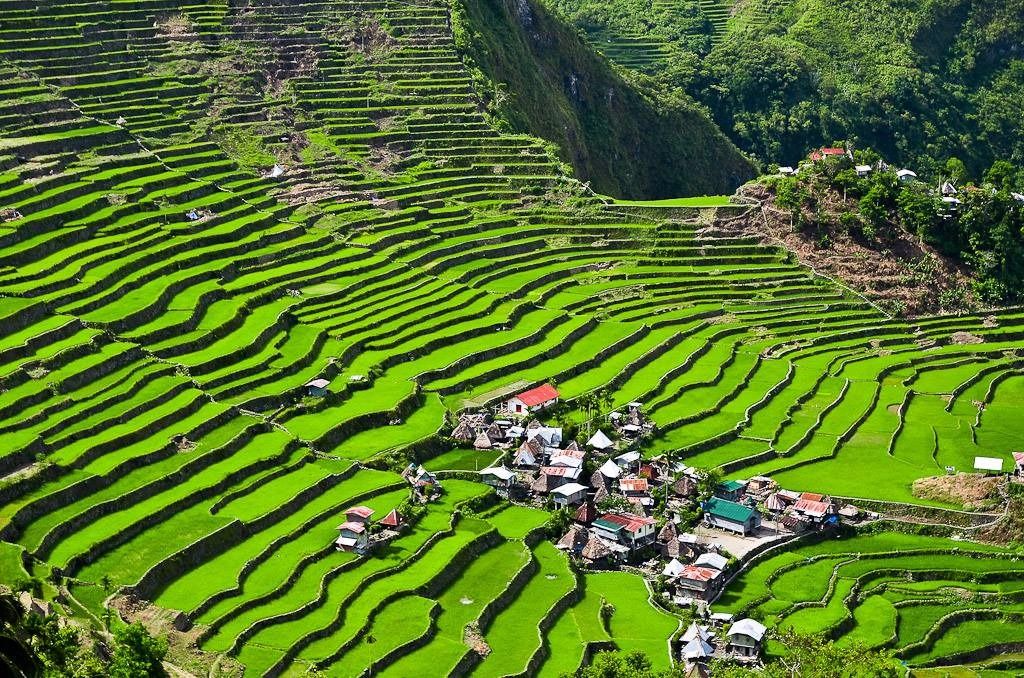 Banaue Rice Terraces